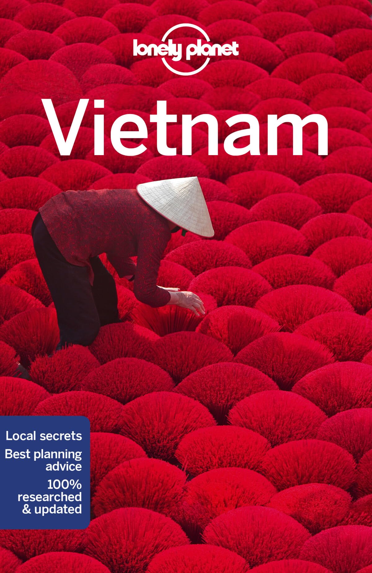 Lonely Planet Vietnam 14 (Travel Guide)