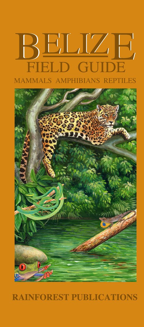 Belize Wildlife Guide - Mammals, Reptiles, Amphibians (Laminated Foldout Pocket Field Guide) (English and Spanish Edition) - 8087