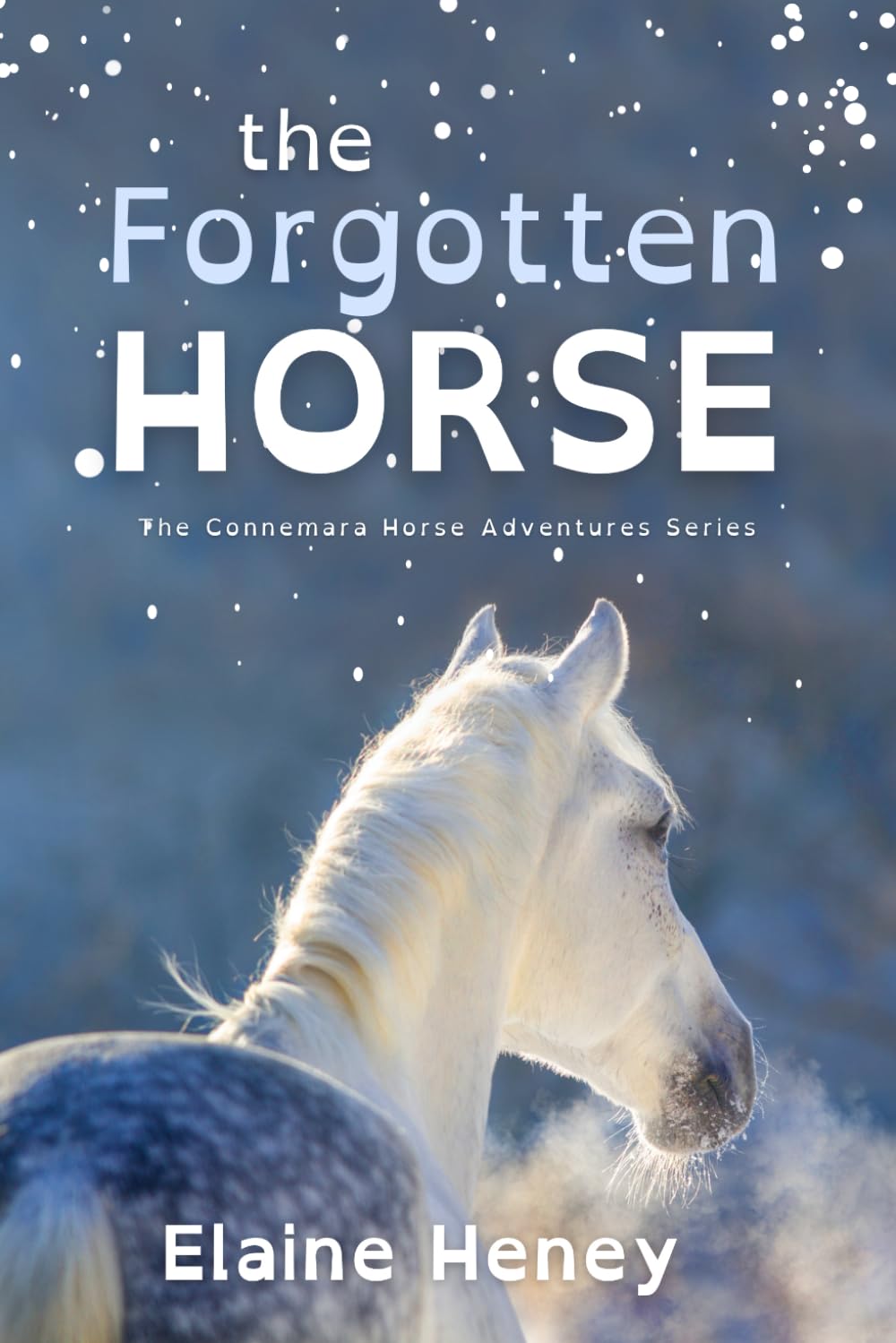 The Forgotten Horse - Dyslexia Friendly (Connemara Pony Adventures Dyslexia Friendly)