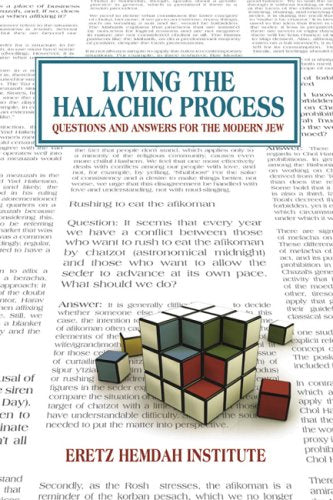 Living the Halachic Process: Questions and Answers for the Modern Jew (English and Hebrew Edition)
