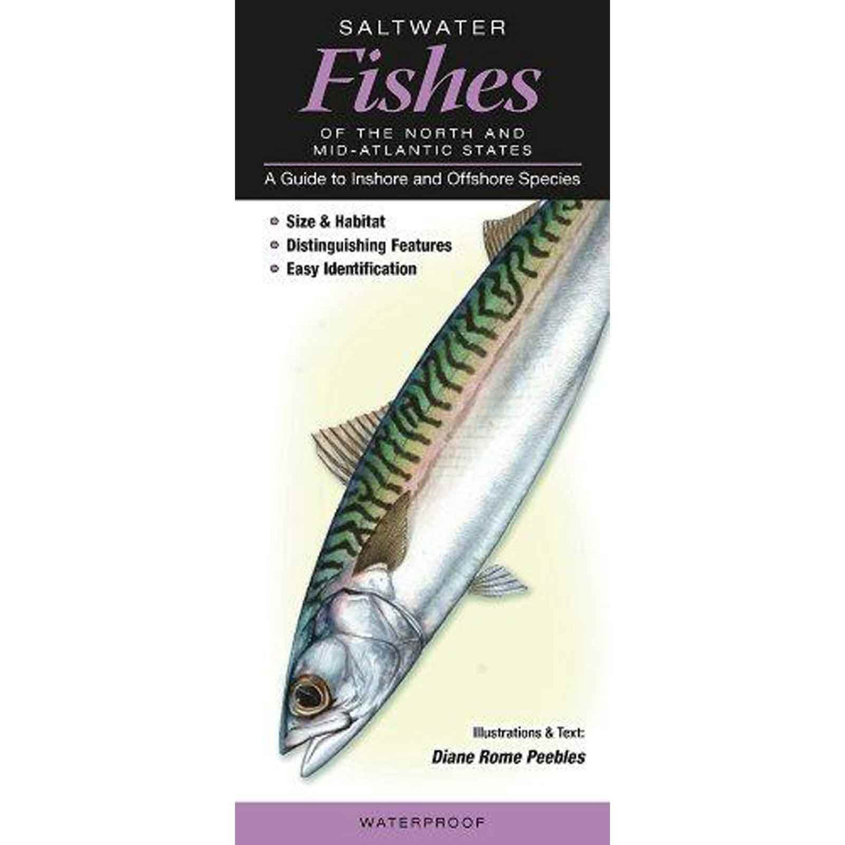 Saltwater Fishes of the Northern & Mid-Atlantic States: A Guide to Inshore & Offshore Species