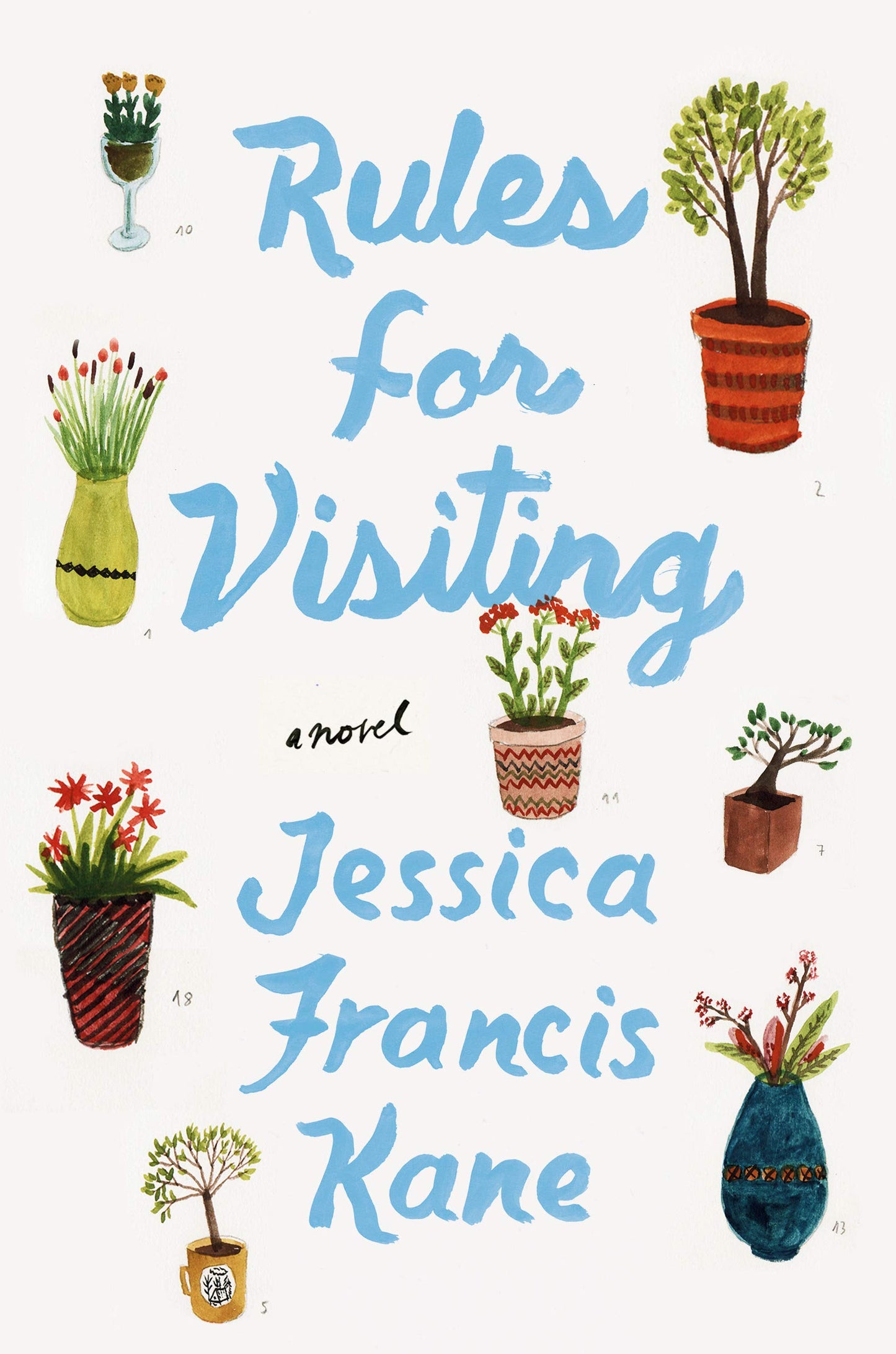 Rules for Visiting: A Novel