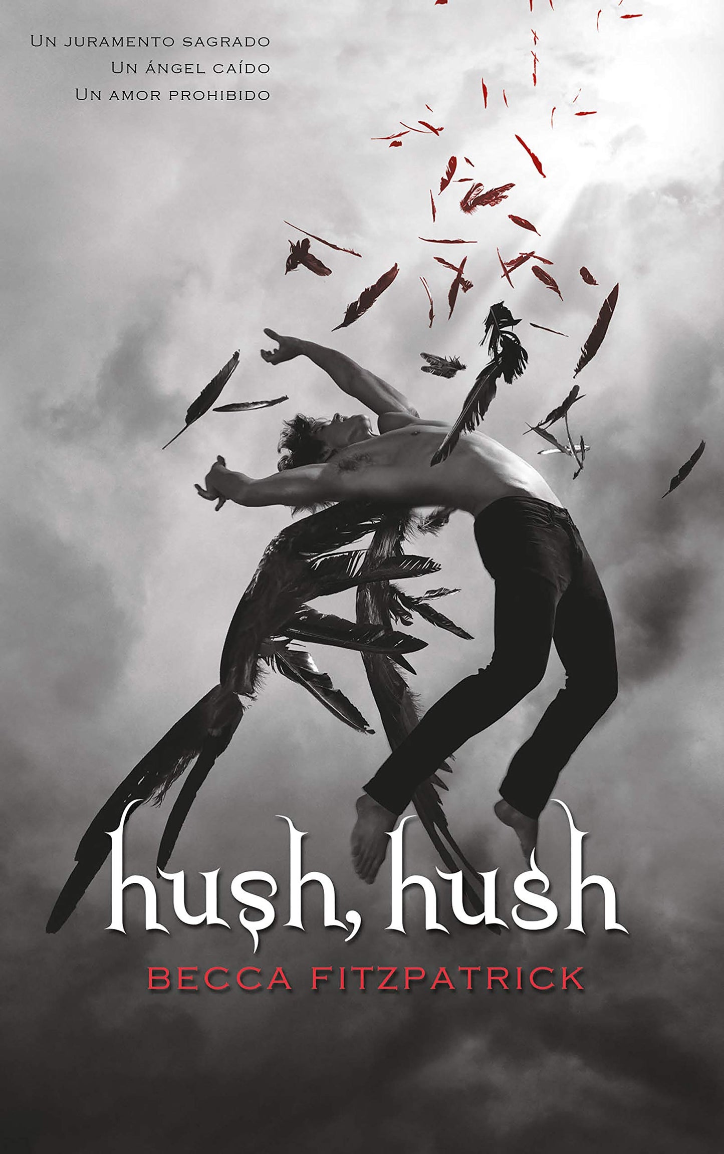 Hush, Hush (Spanish Edition) - 3244