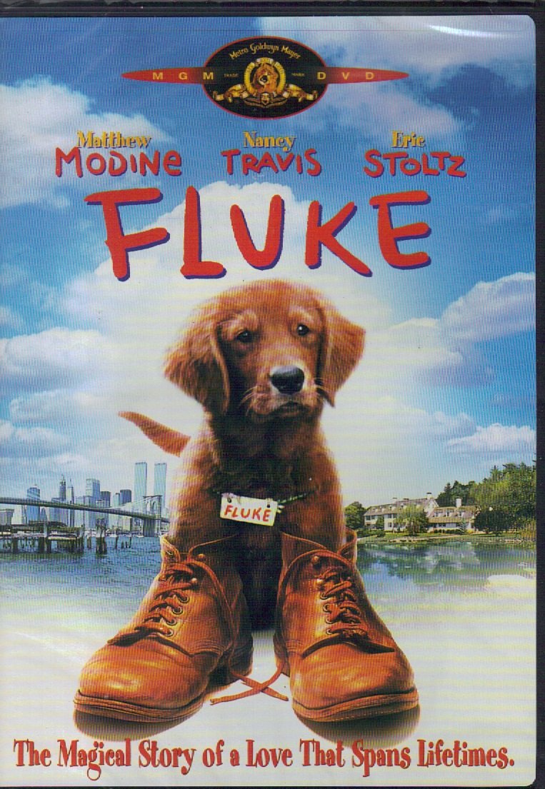 Fluke