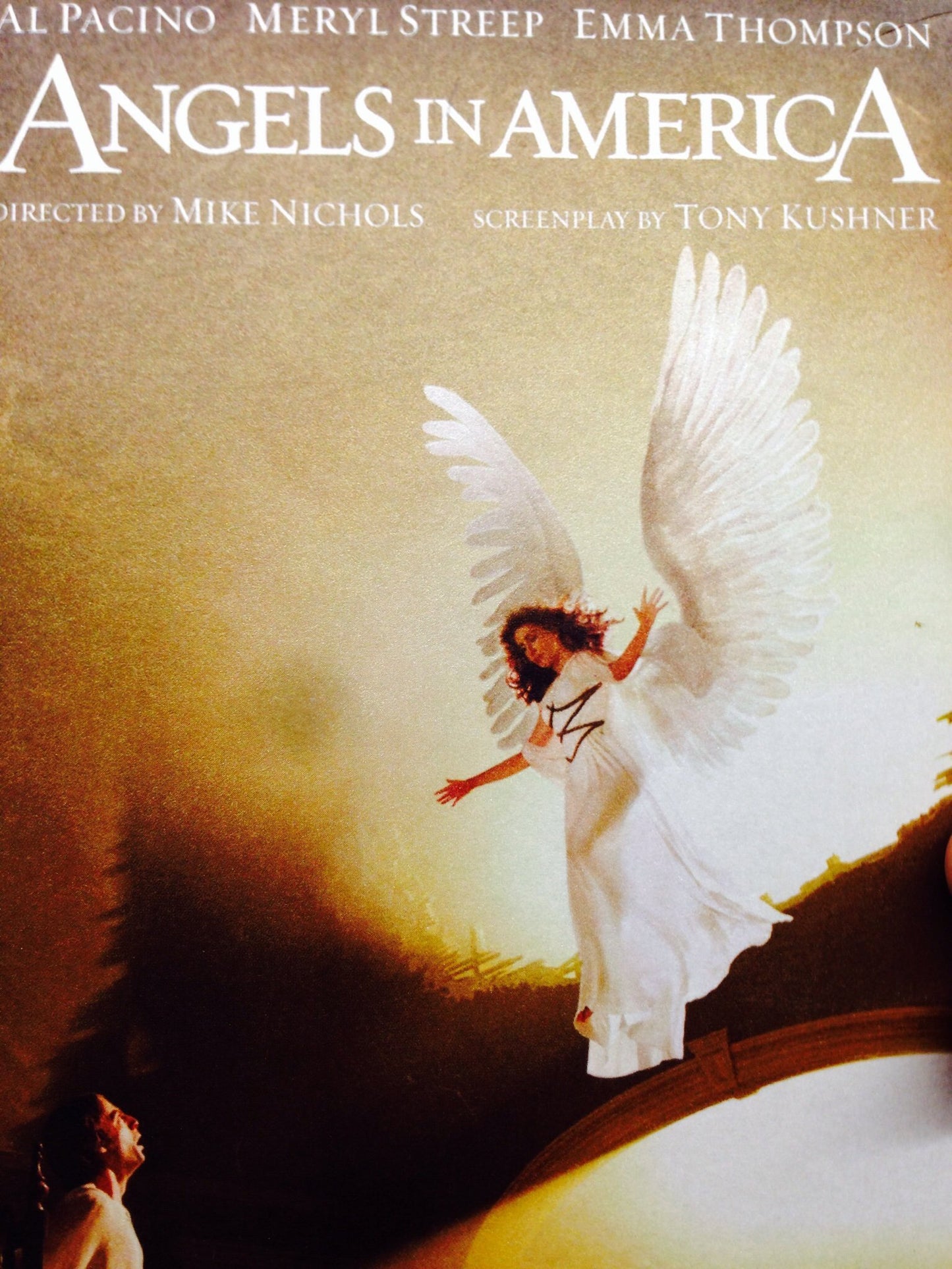 Angels in America (DVD)