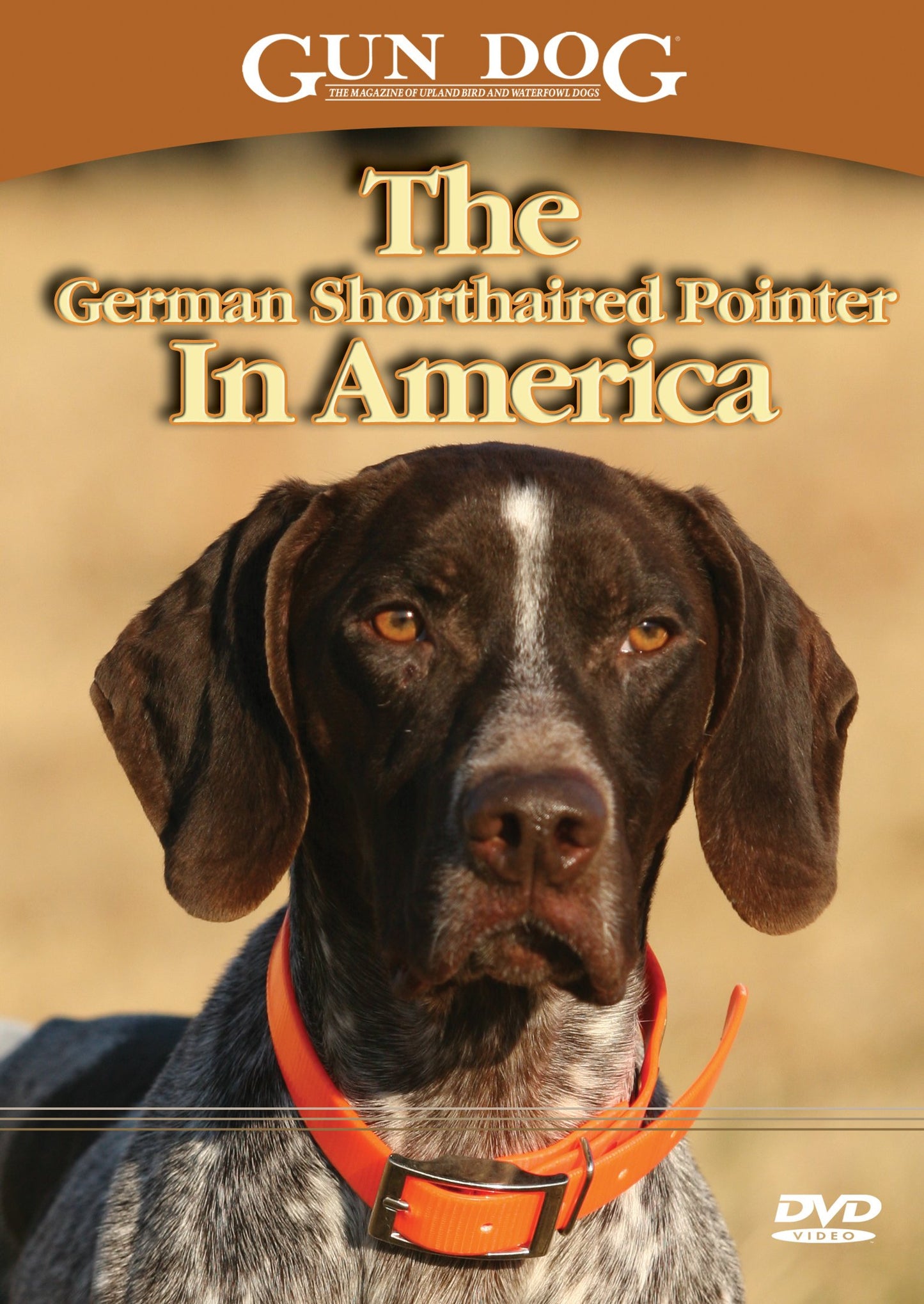 Gun Dog The German Shorthaired Pointer In America DVD