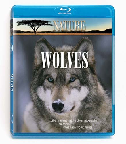 Nature-Wolves
