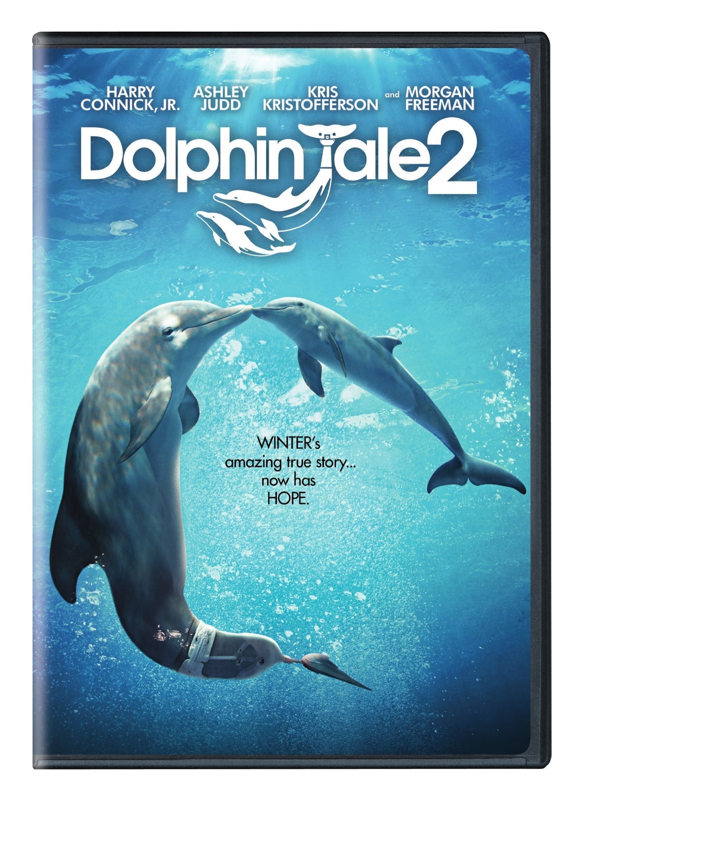 Dolphin Tale 2 (DVD) - 4470