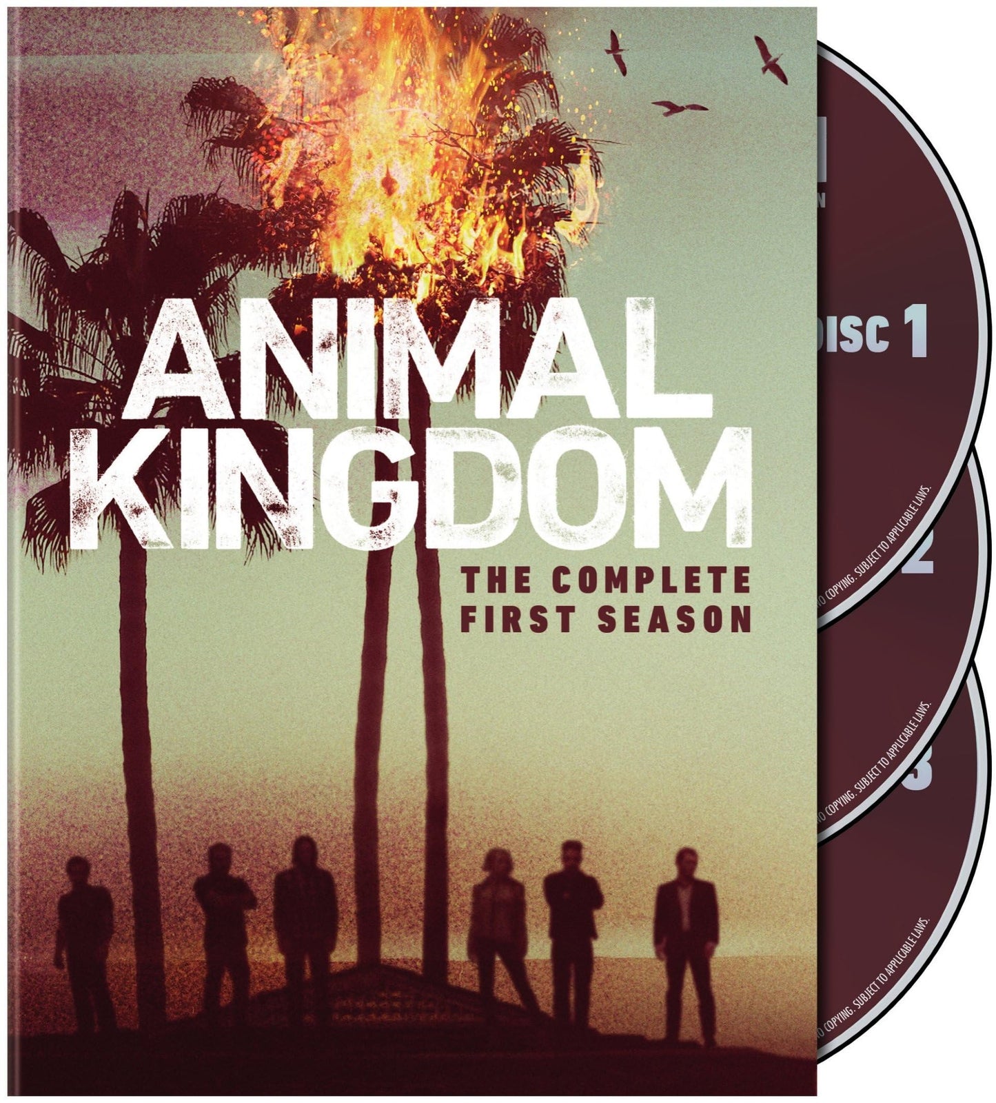 Animal Kingdom: Complete First Season S1 (DVD) - 4003