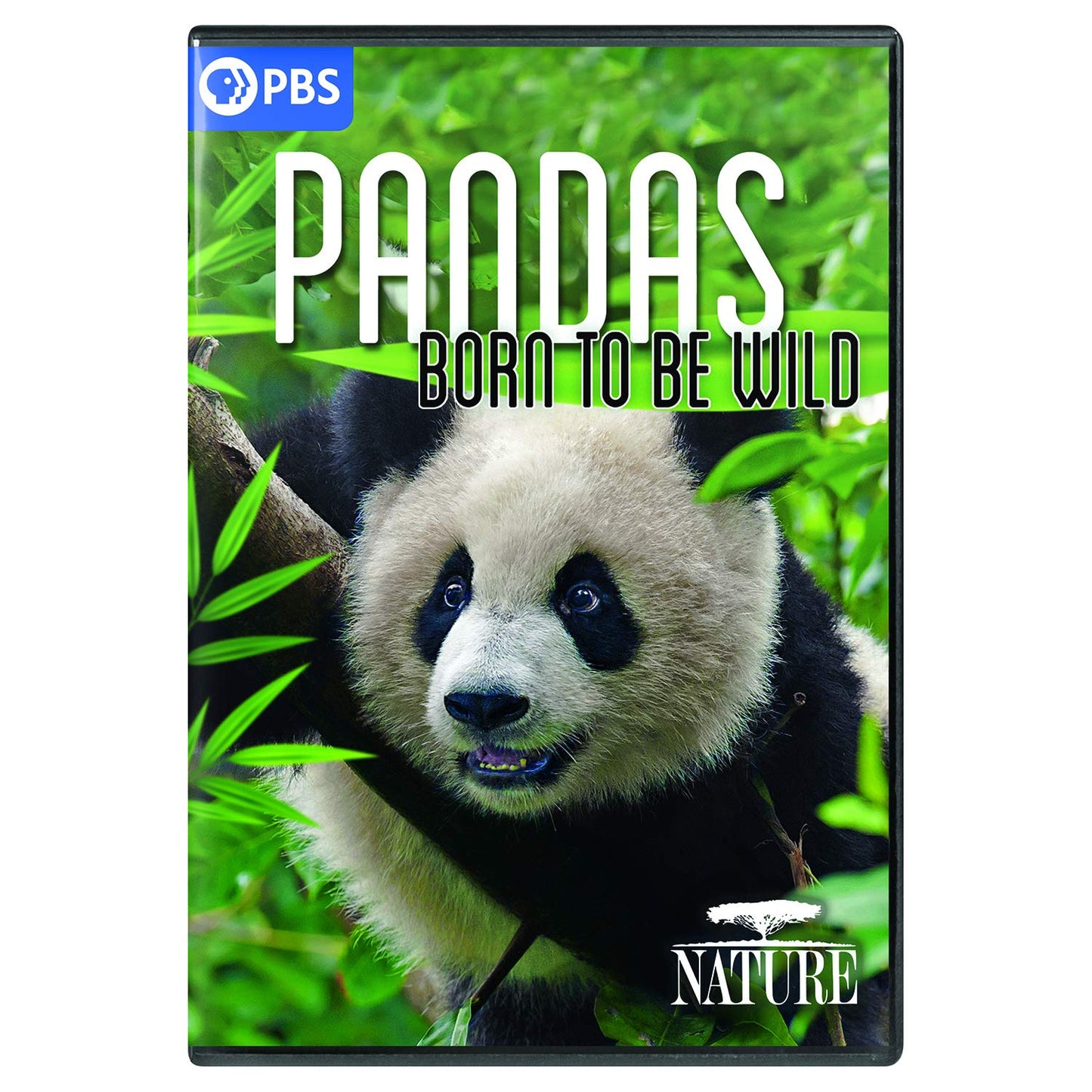 NATURE: Pandas - Born to Be Wild