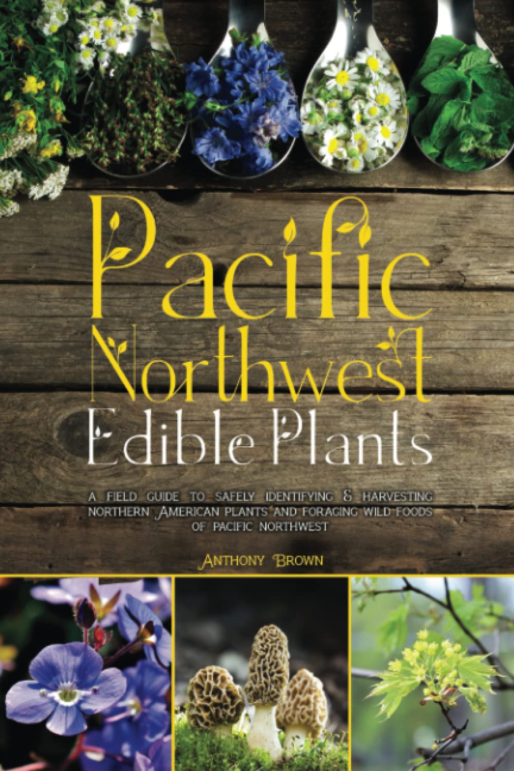 Pacific Northwest Edible Plants: A Field Guide to Safely Identifying & Harvesting Northern American Plants and Foraging Wild Foods of Pacific Northwest