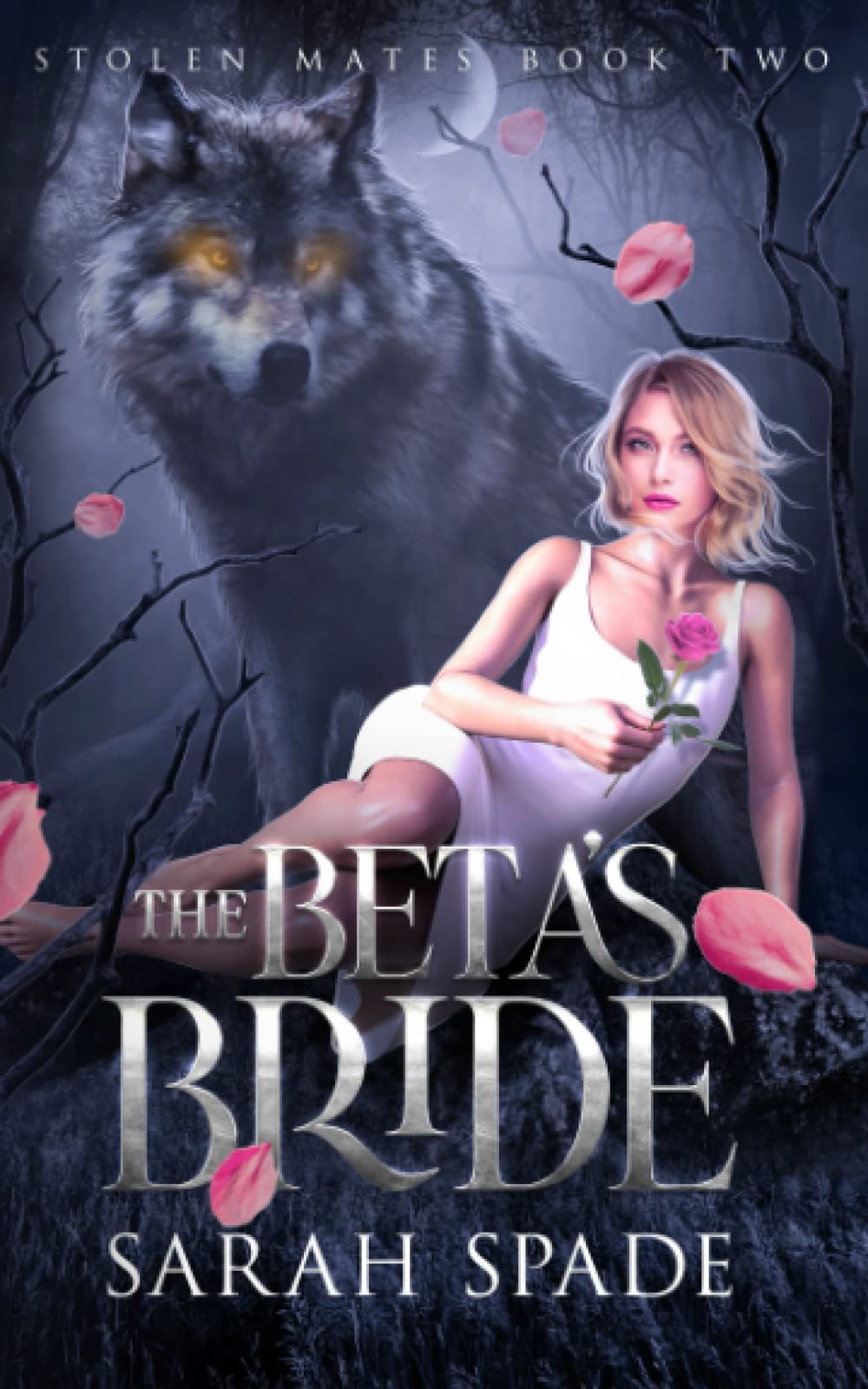 The Beta's Bride: A Rejected Mates Romance (Stolen Mates)