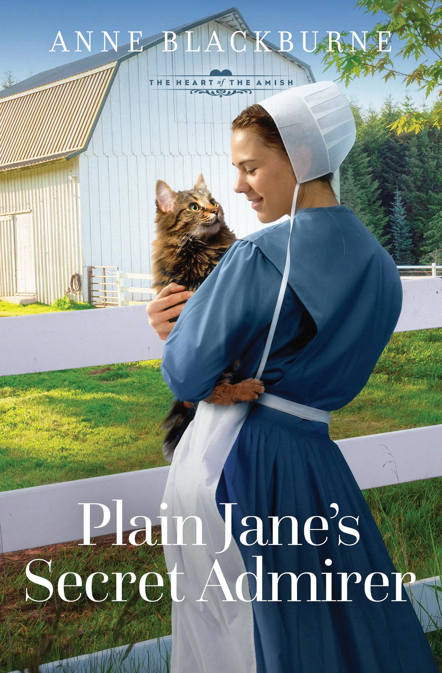 Plain Jane's Secret Admirer: Volume 11 (The Heart of the Amish)