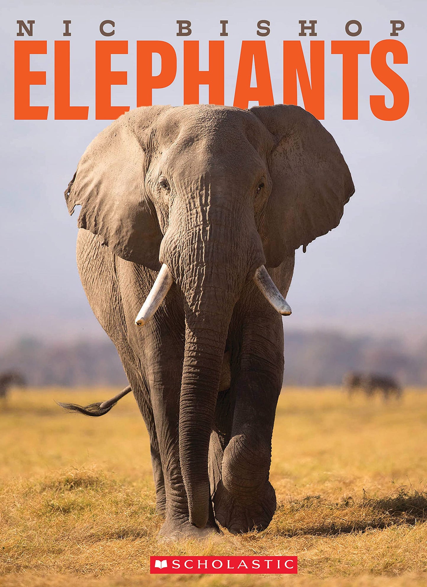 Nic Bishop Elephants - 6776