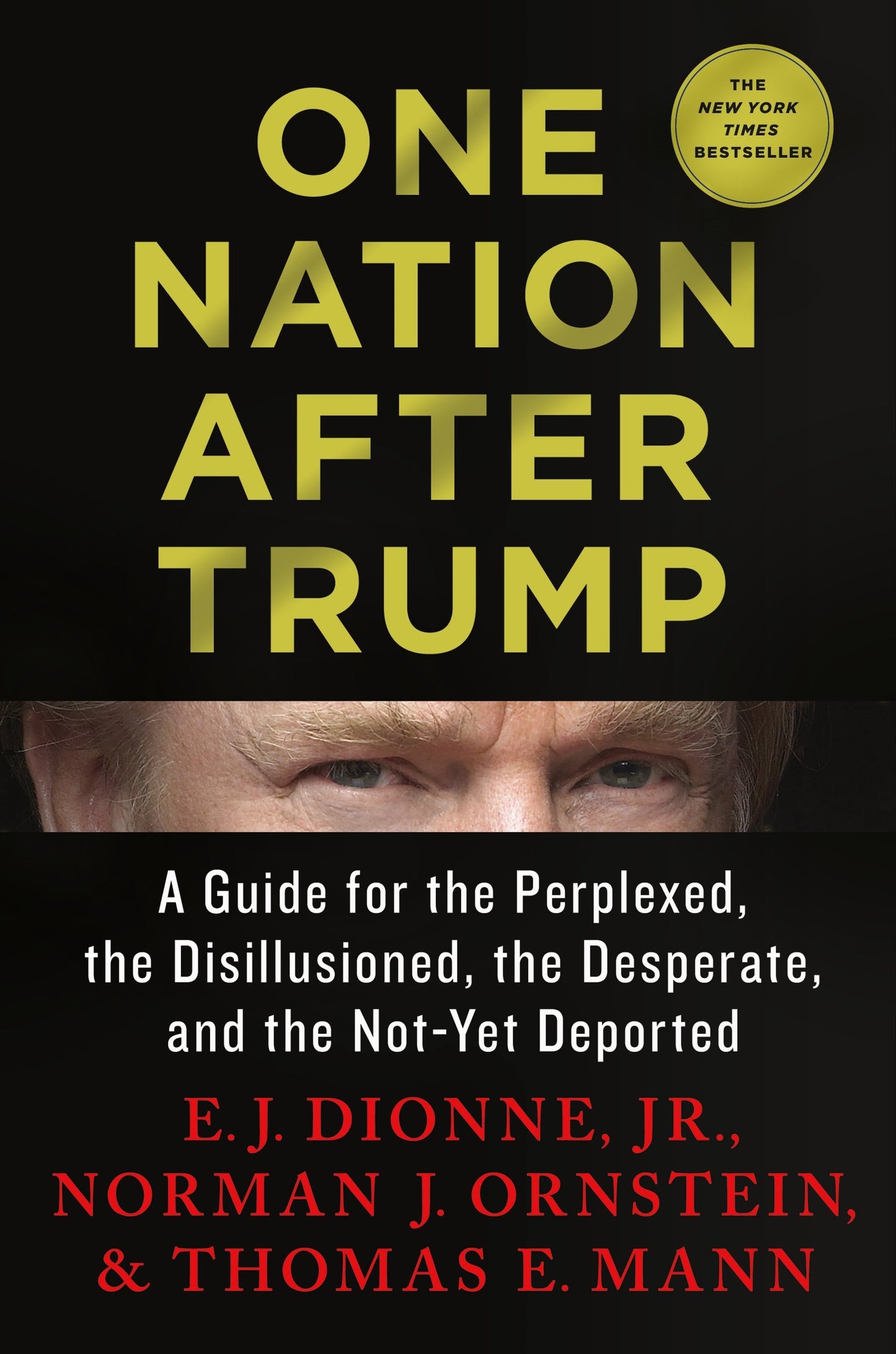 One Nation After Trump: A Guide for the Perplexed, the Disillusioned, the Desperate, and the Not-Yet Deported - 1068