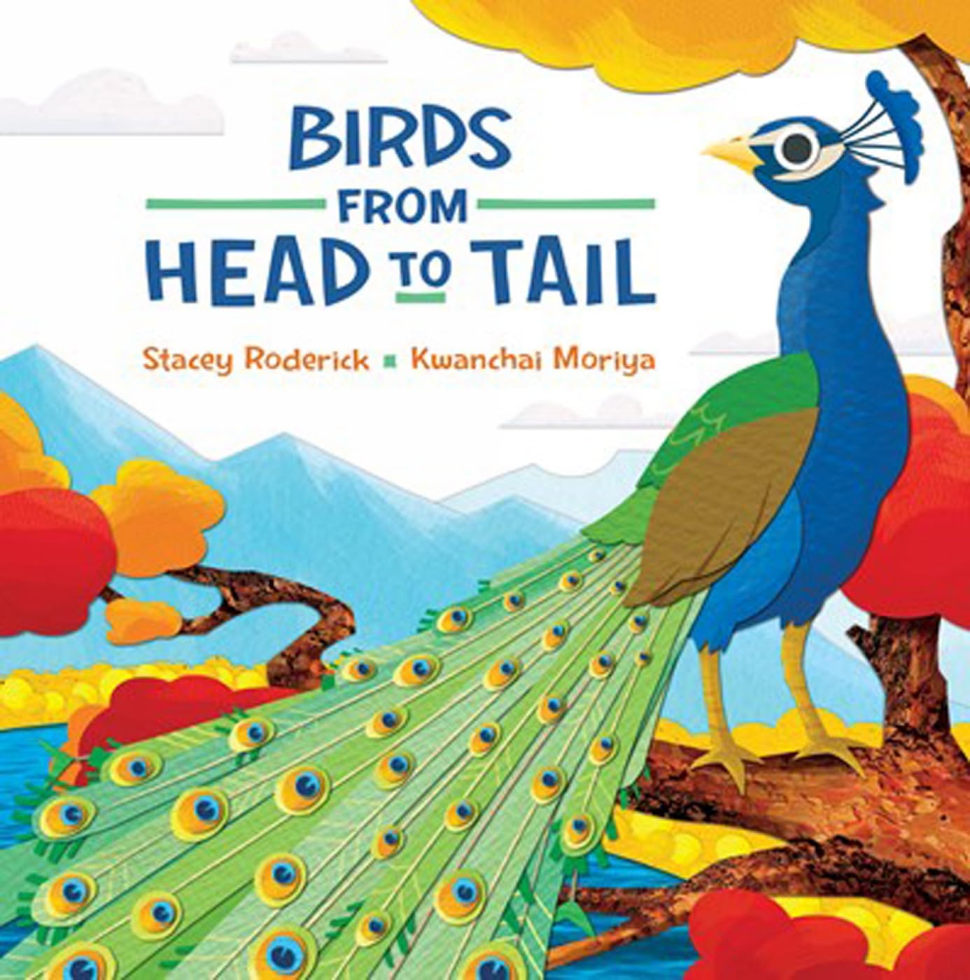 Birds from Head to Tail - 4964