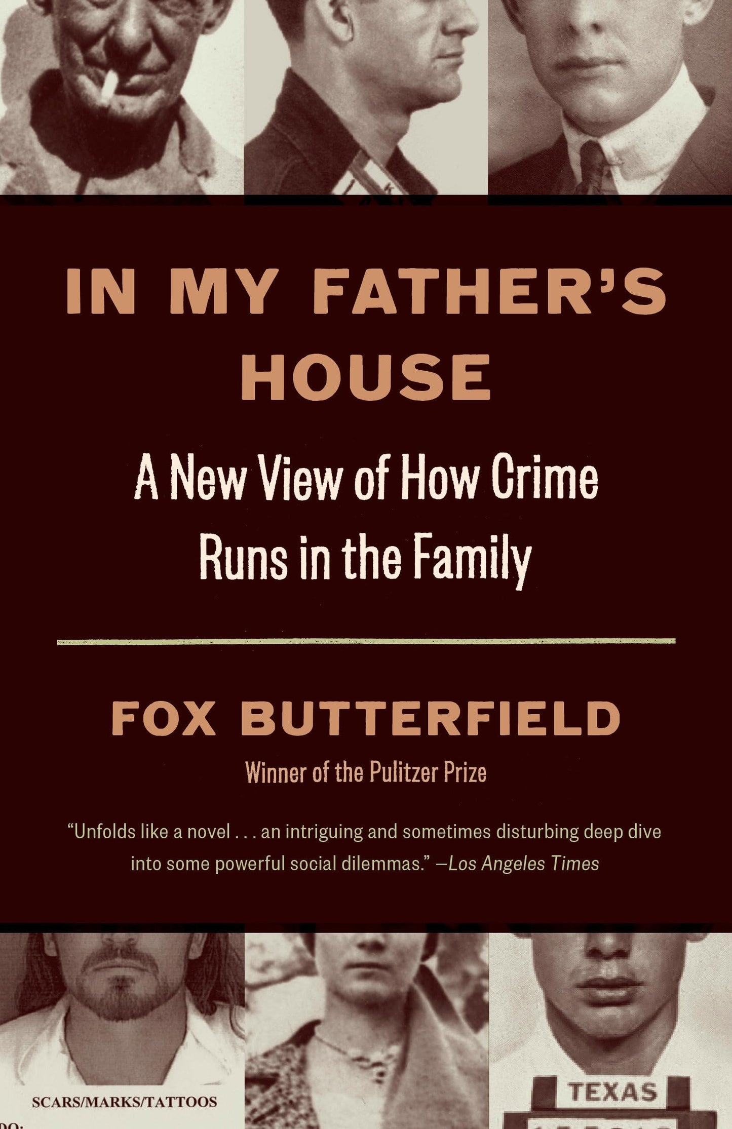 In My Father's House: A New View of How Crime Runs in the Family - 8908