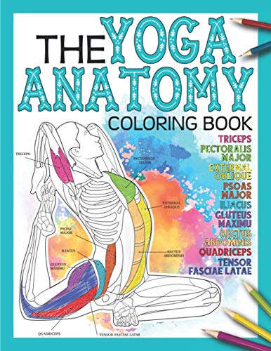 The Yoga Anatomy Coloring Book: An Illustrative & Interactive Way of Learning The Form & Anatomy of Yoga Poses - 582
