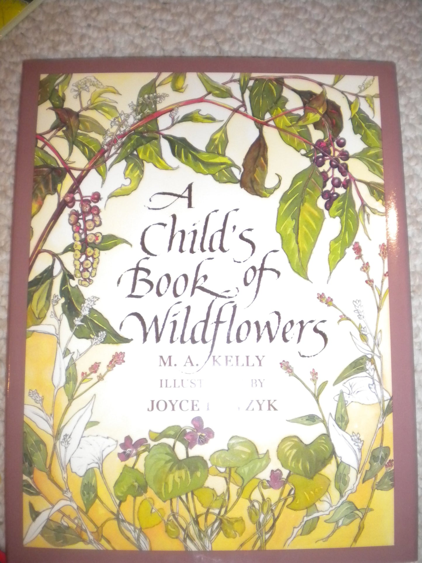 A Child's Book of Wildflowers - 8157