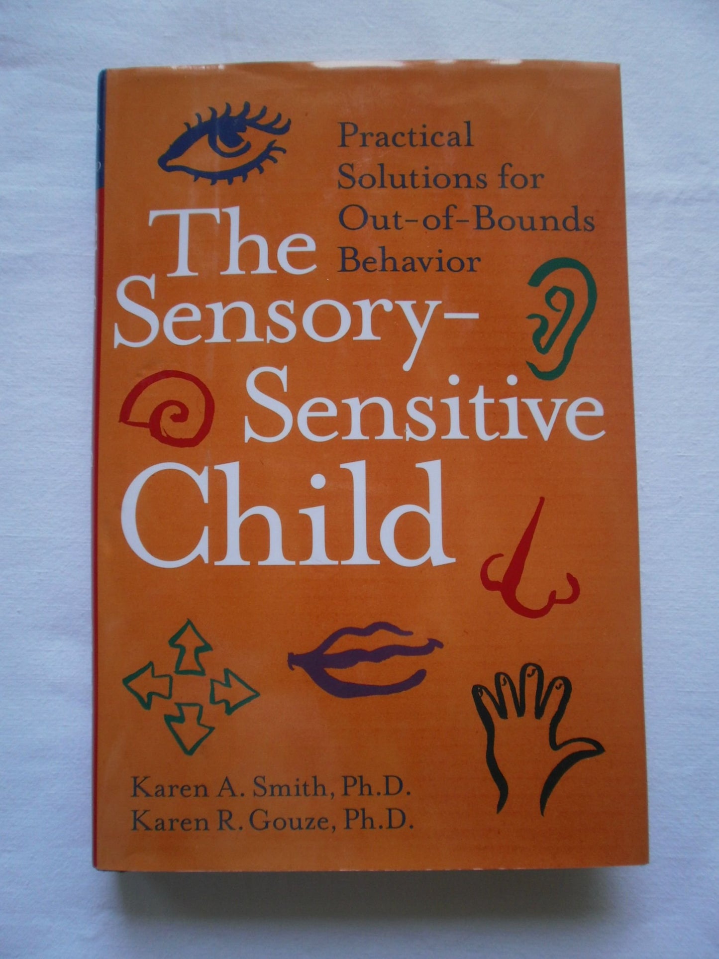 The Sensory-Sensitive Child: Practical Solutions for Out-of-Bounds Behavior
