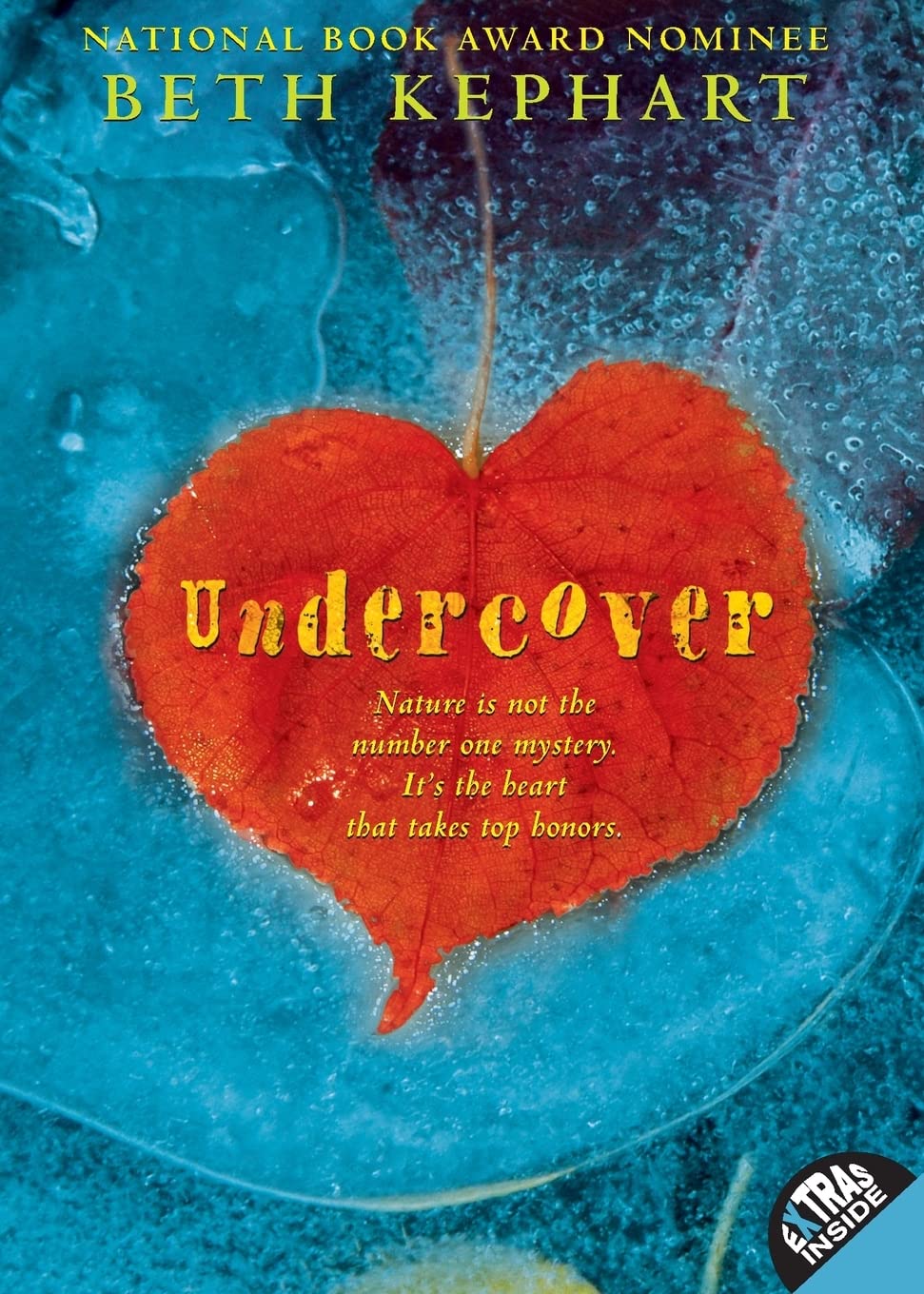 Undercover: A Heartfelt Young Adult Novel of Secret Love and Jealousy