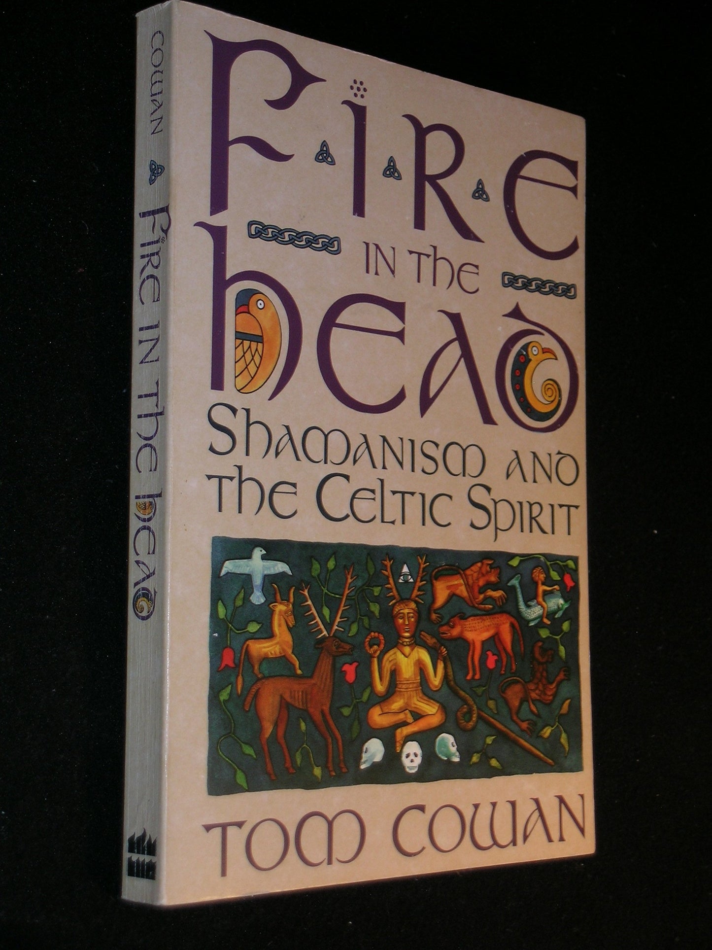 Fire in the Head: Shamanism and the Celtic Spirit – A Cross-Cultural Exploration of the Visionary Experience