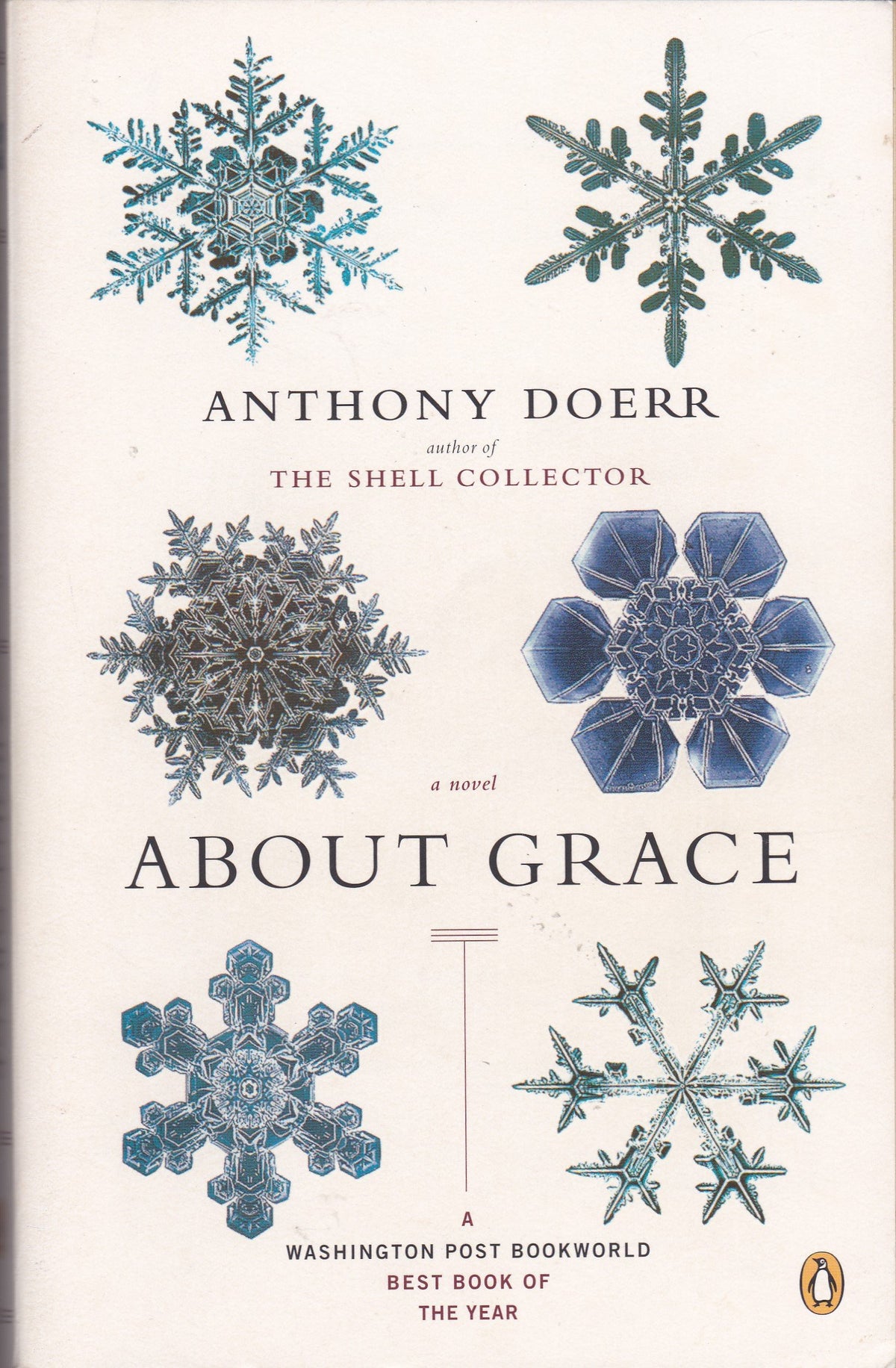 About Grace: A Novel