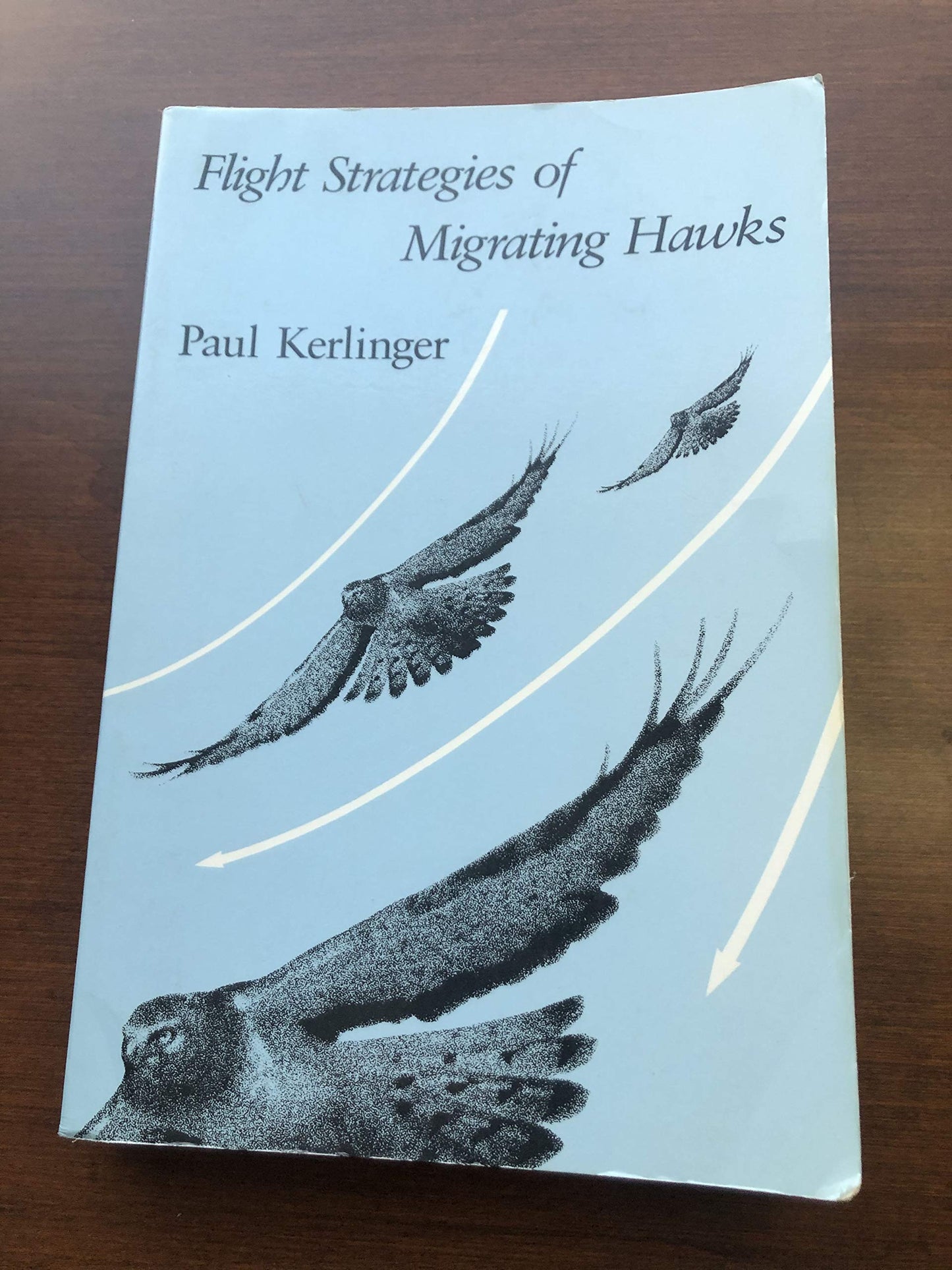 Flight Strategies of Migrating Hawks