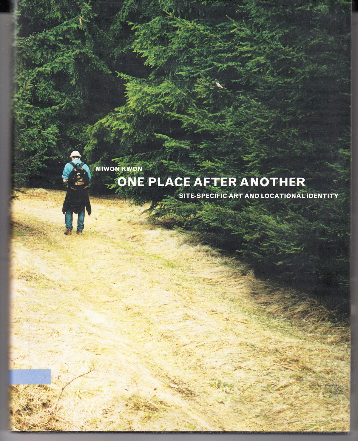 One Place after Another: Site-Specific Art and Locational Identity
