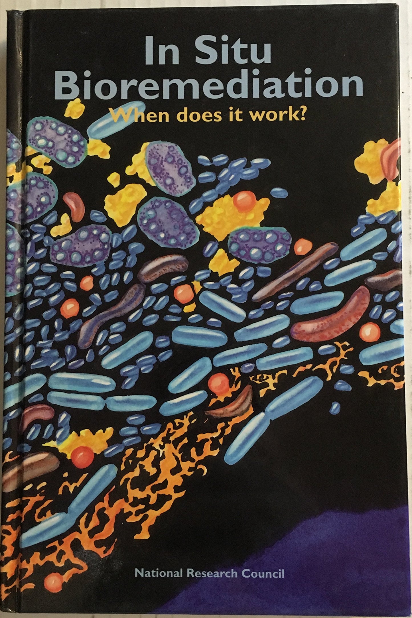 In Situ Bioremediation: When Does It Work?