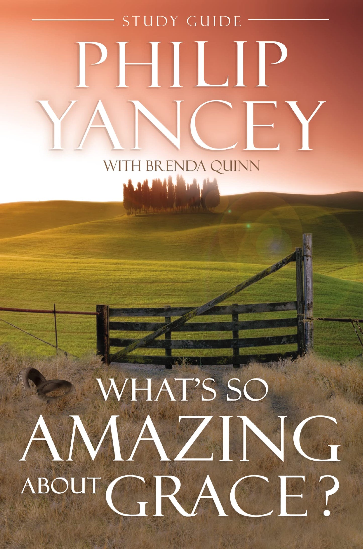 What's So Amazing About Grace? Study Guide: The Key to Transforming a Broken World