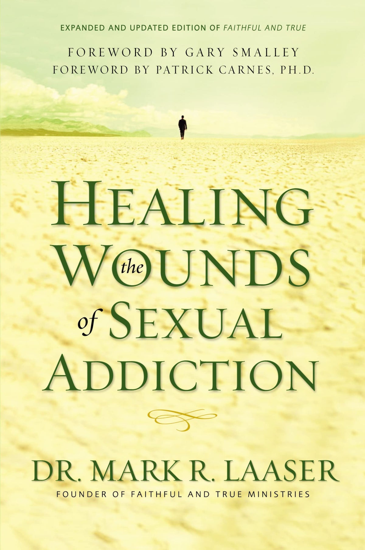Healing the Wounds of Sexual Addiction: Discover the Practical and Spiritual Steps to Lasting Recovery