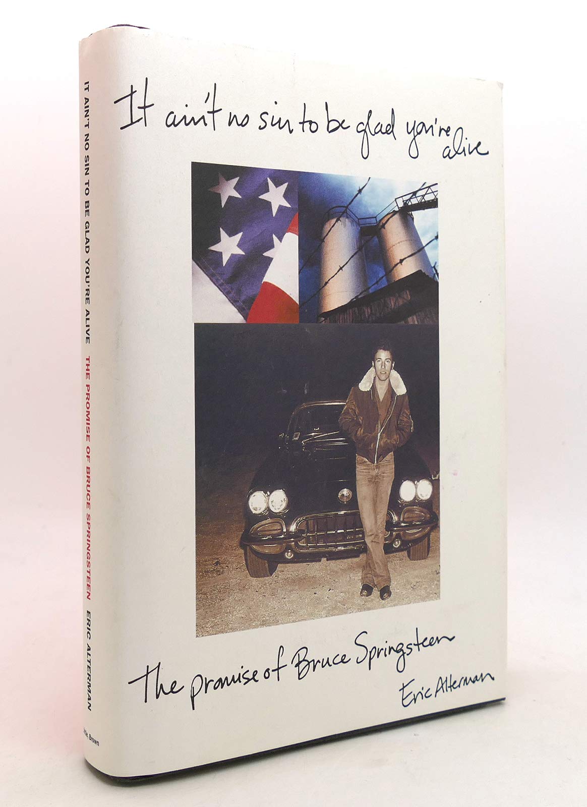 It Ain't No Sin to Be Glad You're Alive : The Promise of Bruce Springsteen