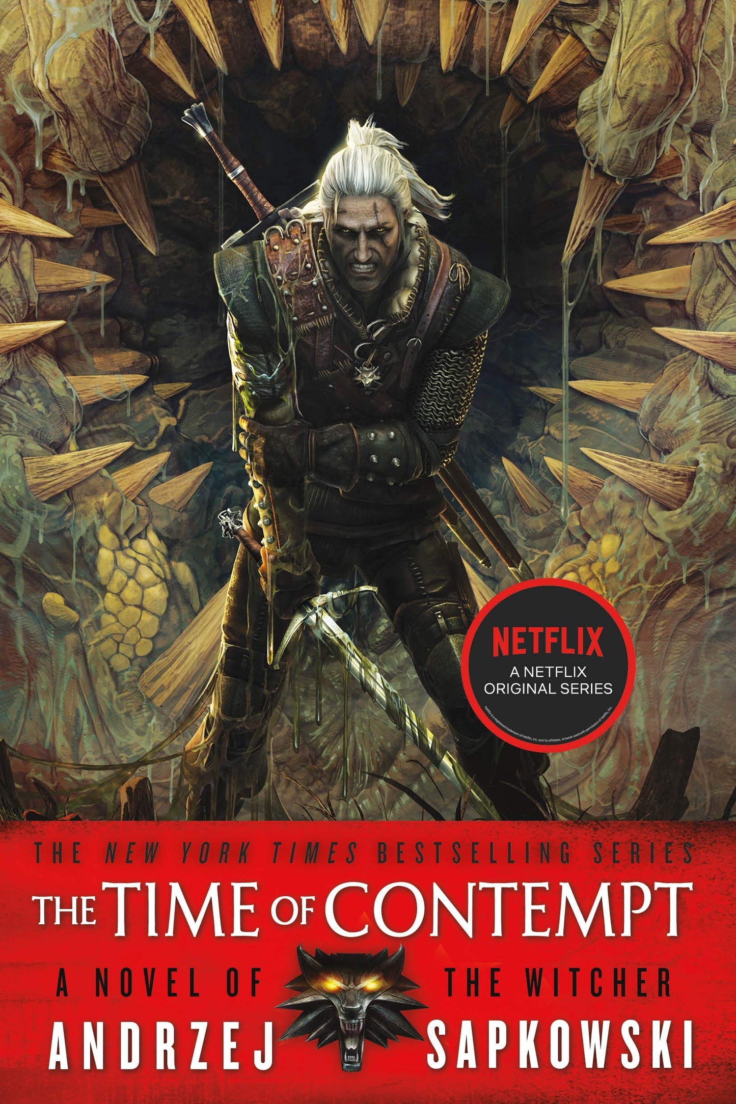 The Time of Contempt (The Witcher, 4)
