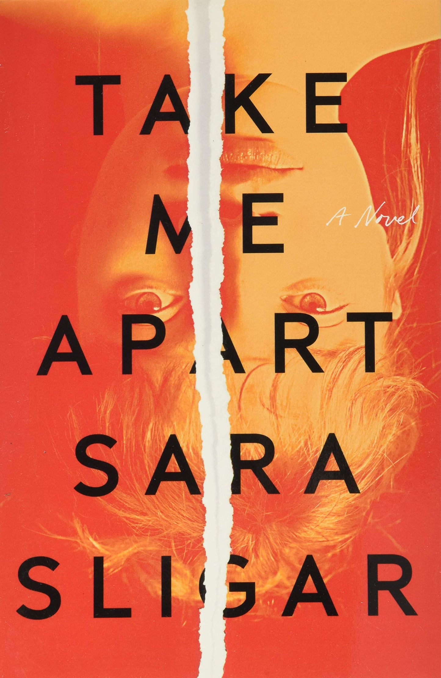 Take Me Apart: A Novel
