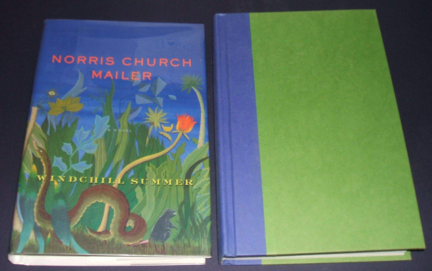 Windchill Summer: A Novel - 7509