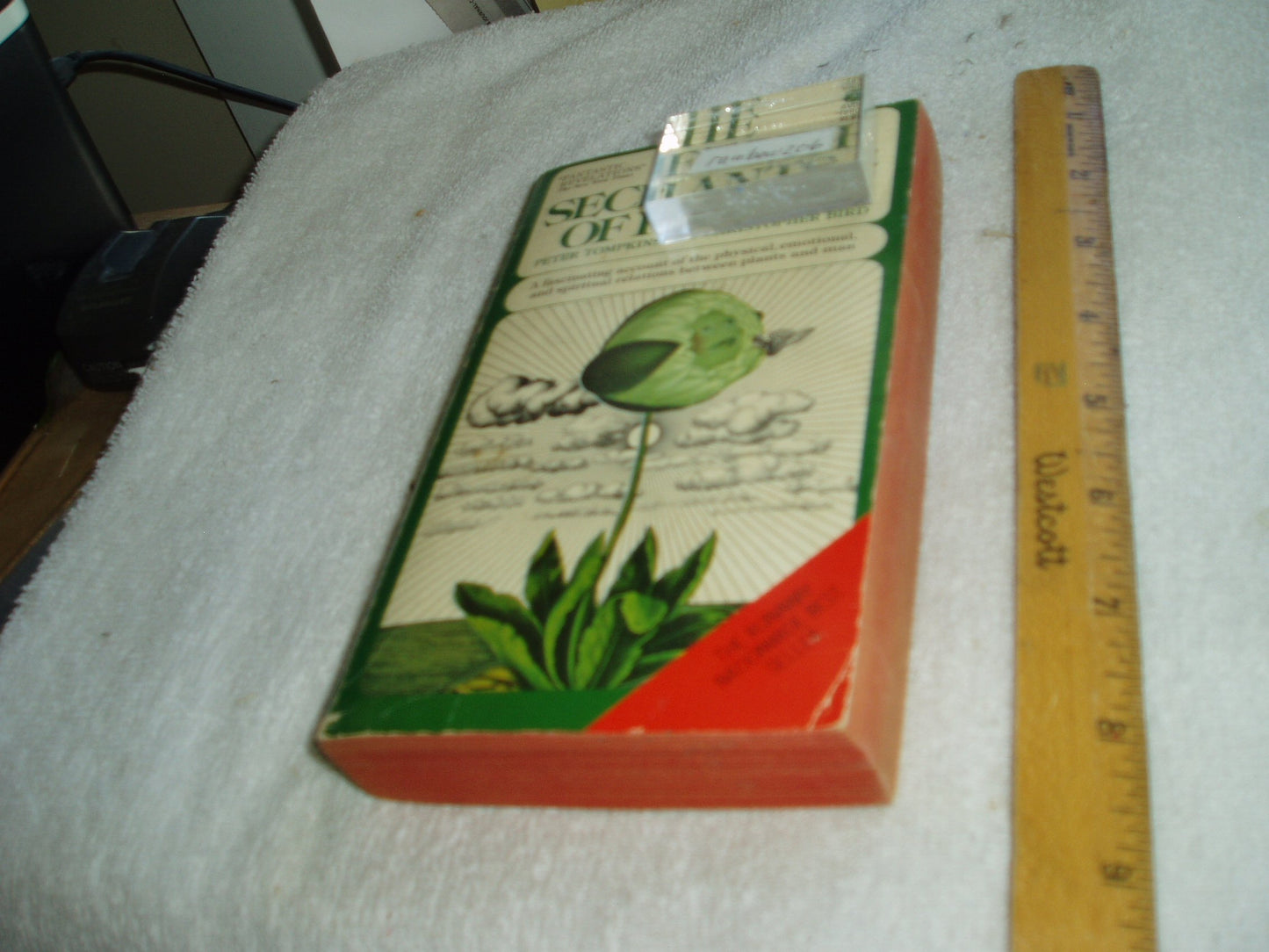 Secret Life of Plants