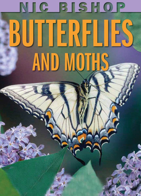 Nic Bishop: Butterflies and Moths - 4067