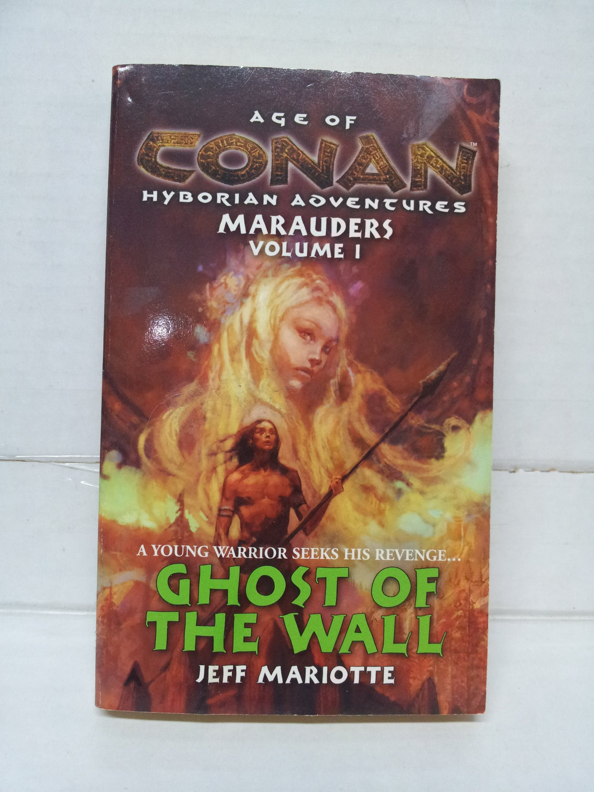 Ghost of the Wall (Age of Conan, Vol. 1)