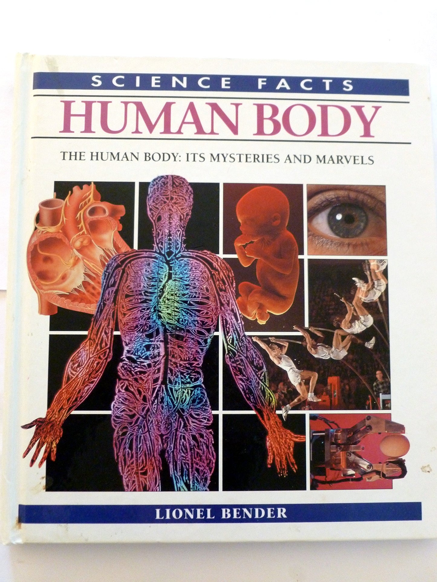 Human Body: Science Facts