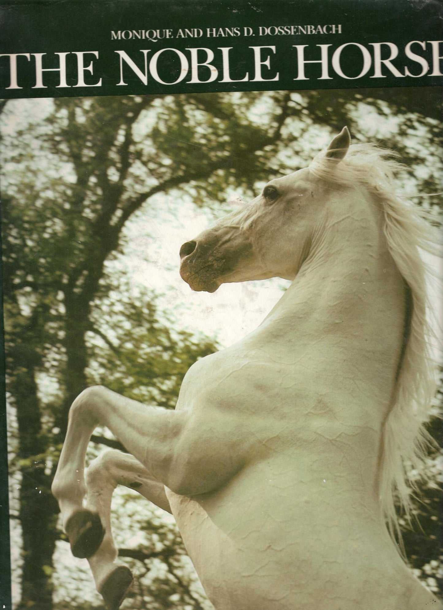 The Noble Horse