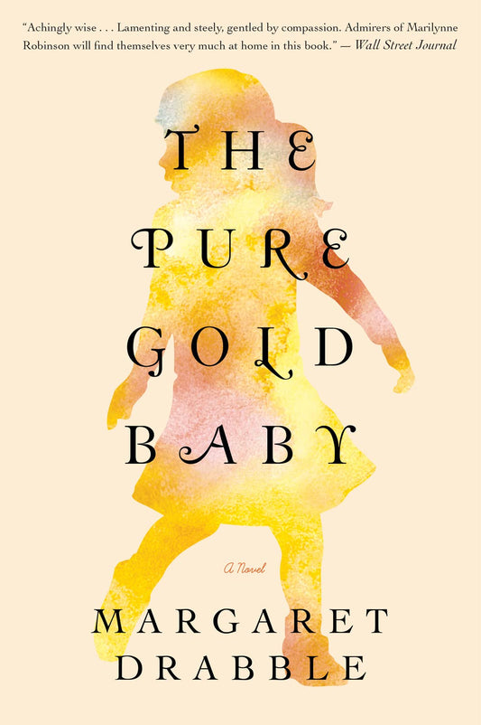 The Pure Gold Baby: An Intimate Literary Novel About a Single Mother, Her Special Needs Child, and Female Friendships