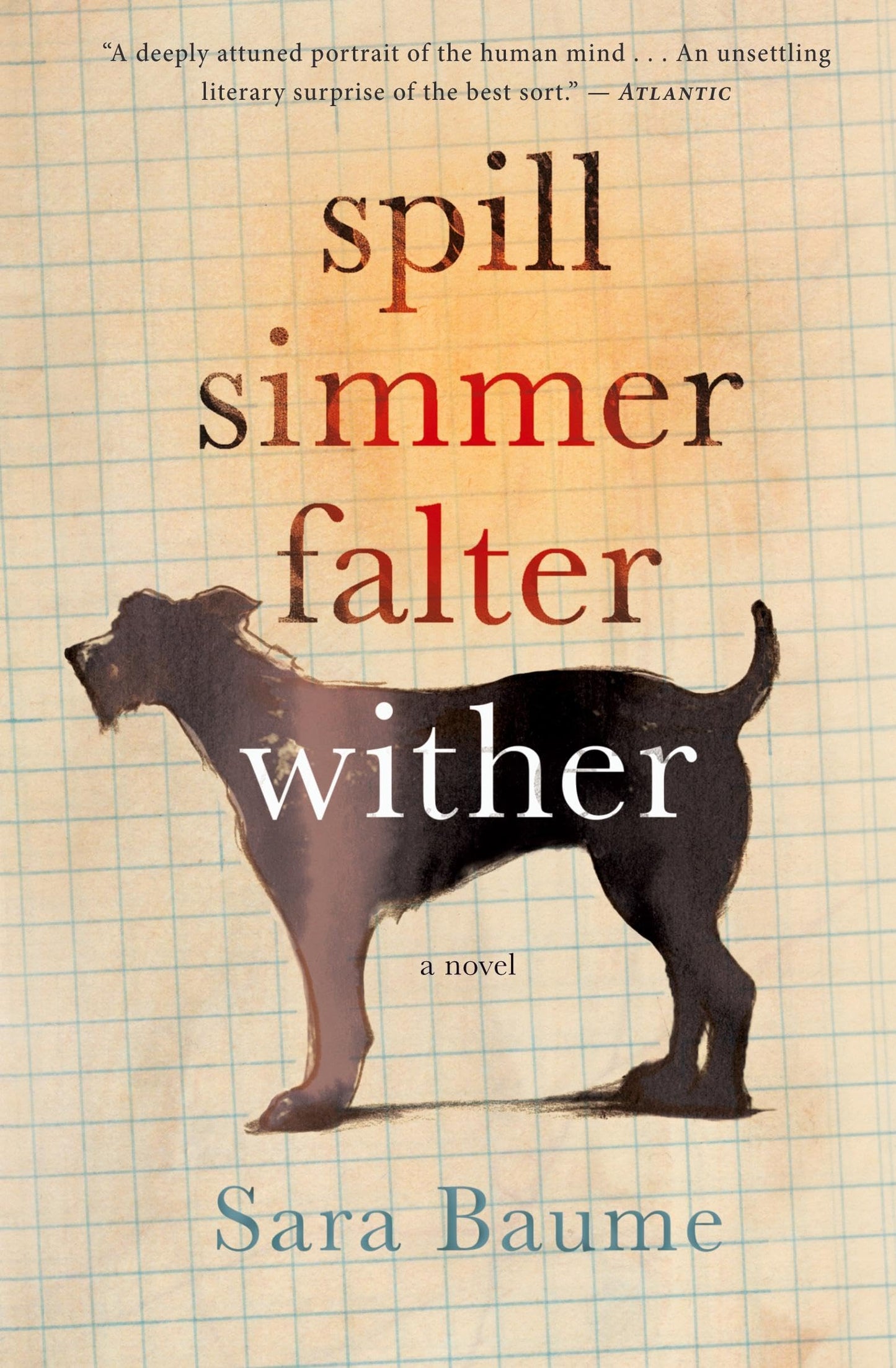 Spill Simmer Falter Wither: A Rooney Prize-Winning Irish Literary Novel – A Poignant Tale of an Outcast and His Dog
