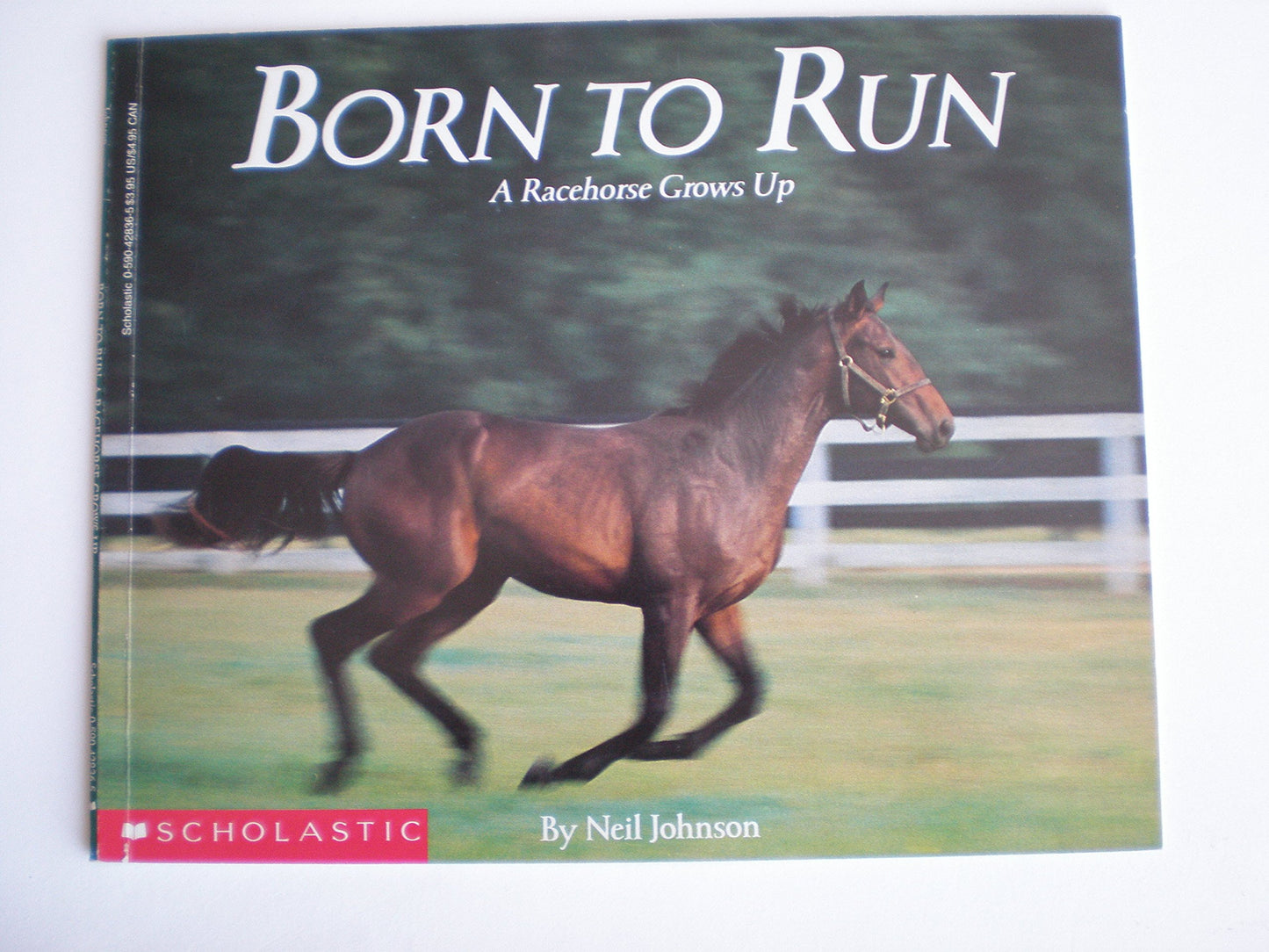Born to Run: A Racehorse Grows Up