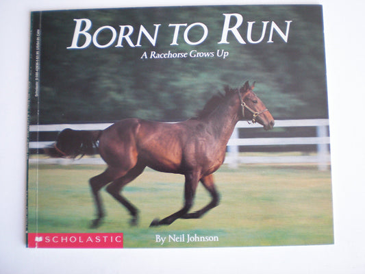 Born to Run: A Racehorse Grows Up