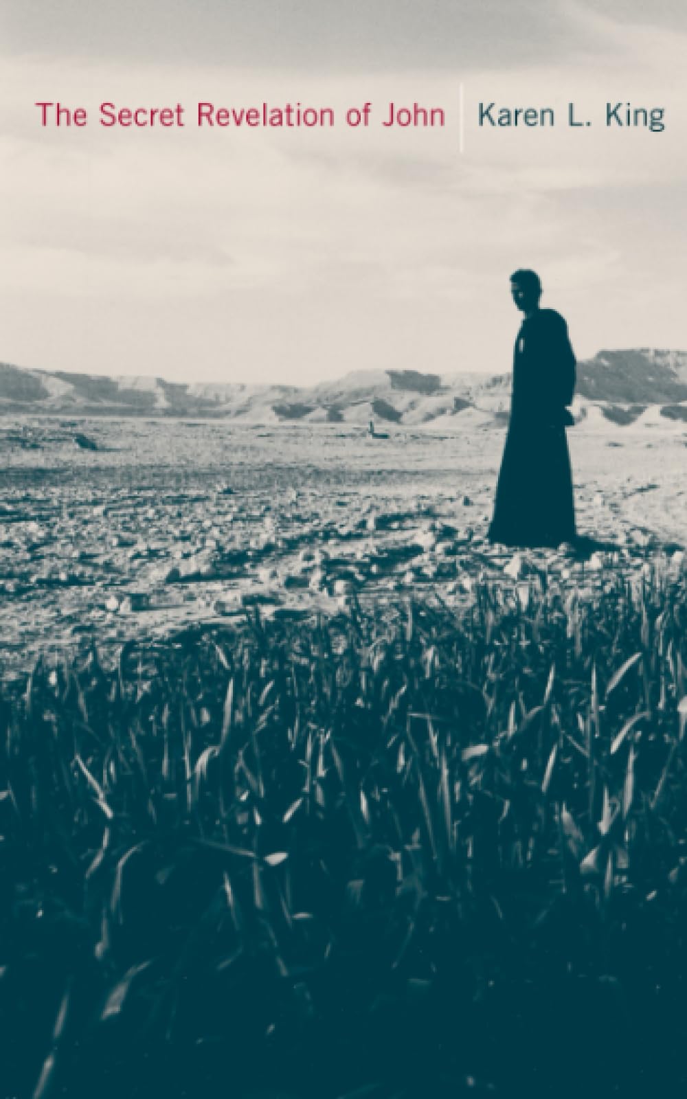 The Secret Revelation of John