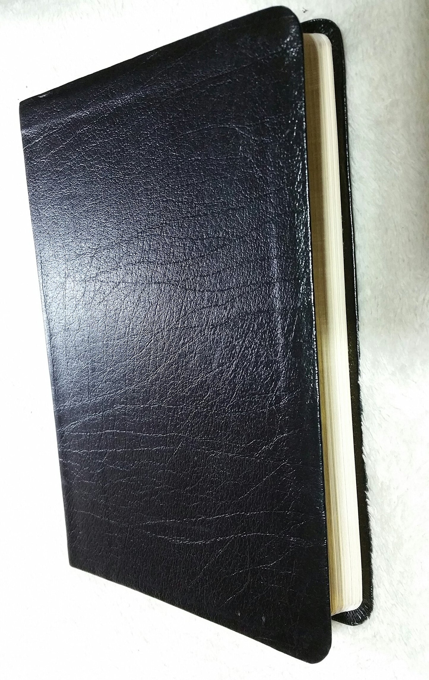 The United Methodist Hymnal (10th printing)