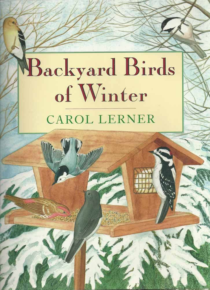Backyard Birds of Winter