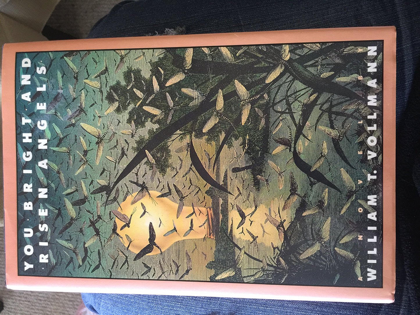 You Bright and Risen Angles: A Cartoon - 8893