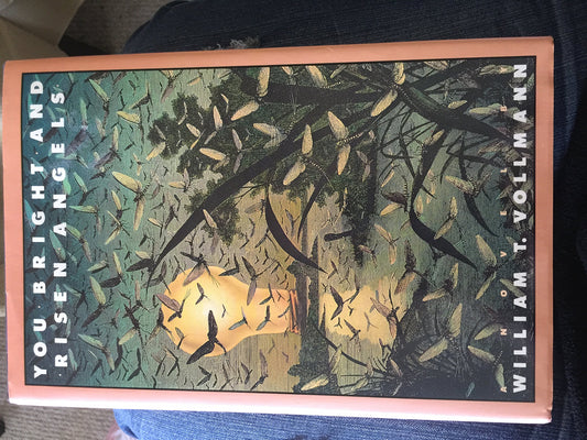 You Bright and Risen Angles: A Cartoon - 8893